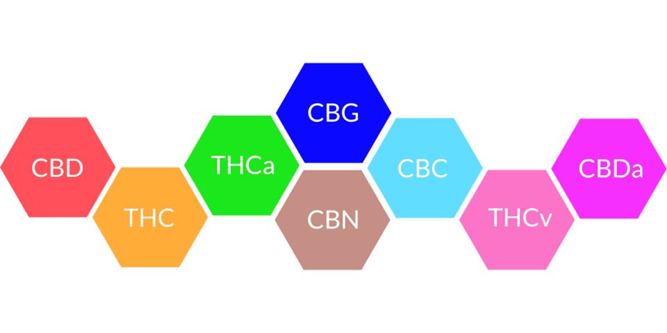 teljes-spektrumu-cbd-ola arj-my-hemp-store