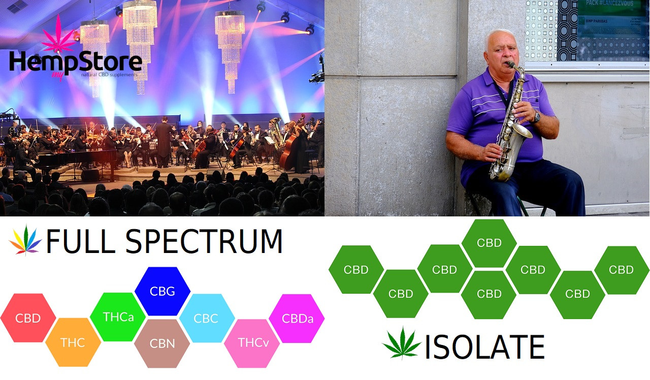 teljes spektrumú cbd olaj ára vagy izolatum