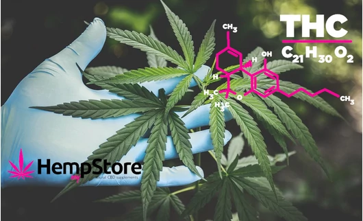 A THC, THCA és THCV különbségéről érhetően