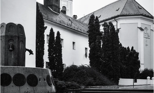 CBD olajat vásárolna Kecskeméten?